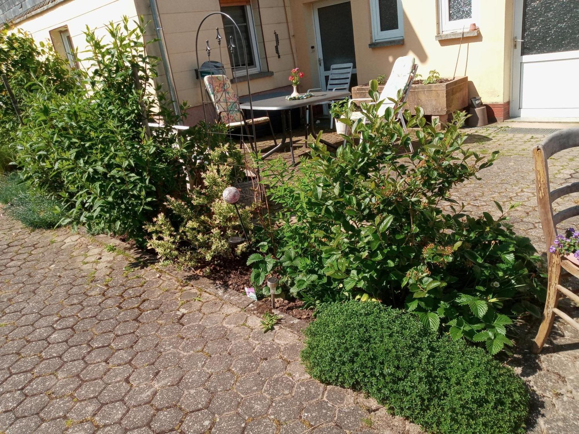 Ferienwohnung Otto Kleinich Buitenkant foto